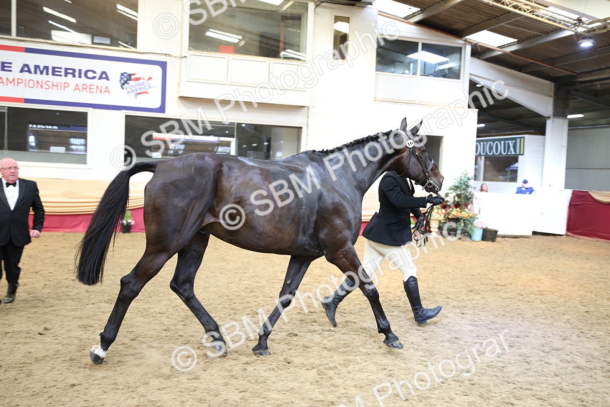 SBM_24760 - Class 906 - Supreme Final - Ridden Pre Vet