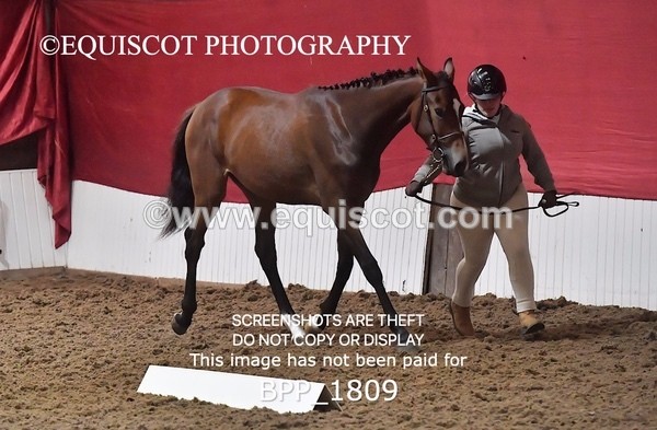 BPP_1809 - MORNING 9AM - 12PM