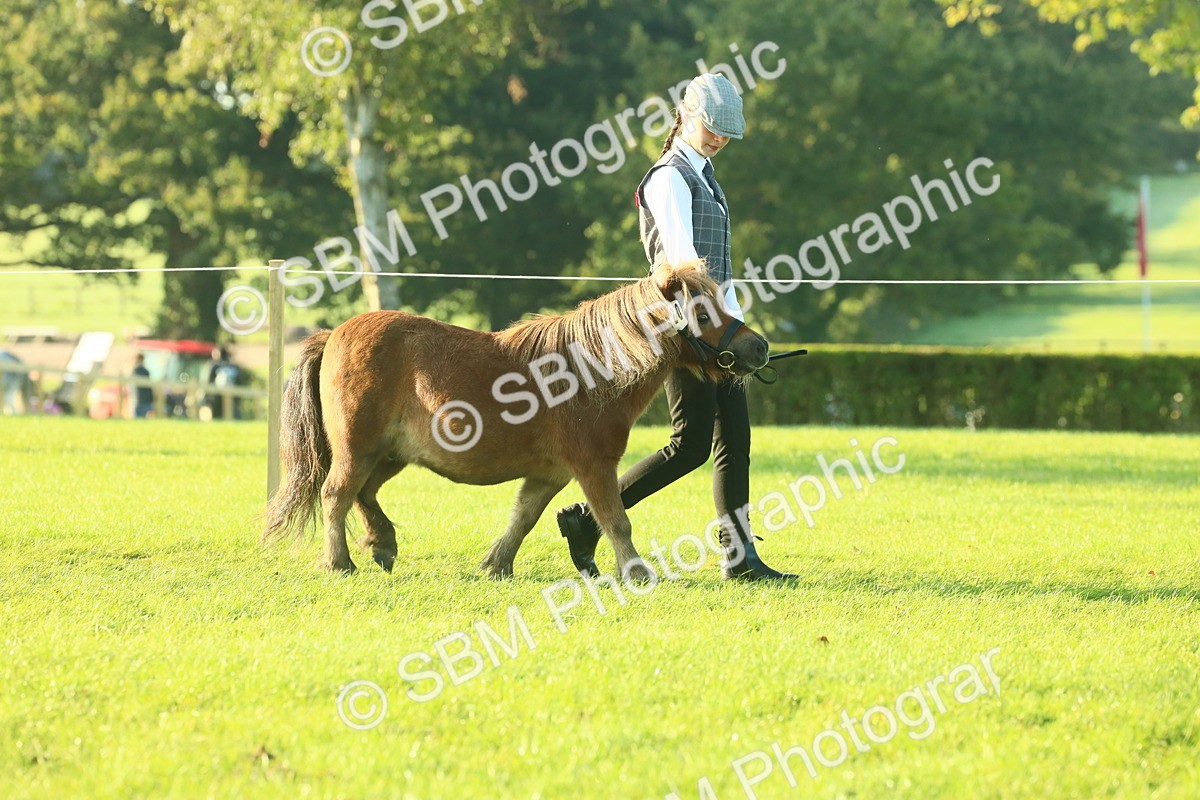SBM_57276 - S37 - Starters In Hand Showing