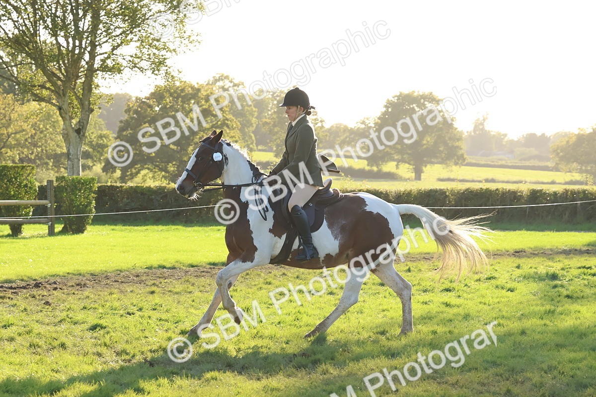 SBM_53014 - S29 - Mature Veteran Ridden