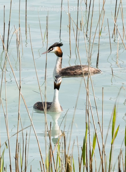Lake Garda-30 - Lake Garda, Verona and Venice
