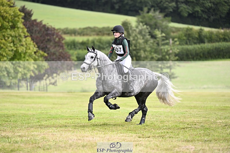 240825X-121844-33775 - 70cm XC 12.00 to End