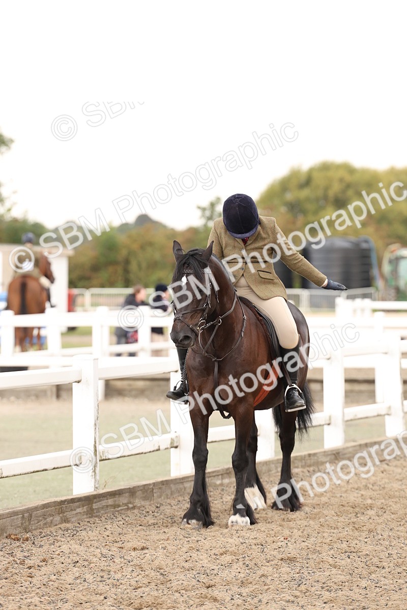 SBM_07555 - Class 59b -  Style & Performance - 80cm (20+)