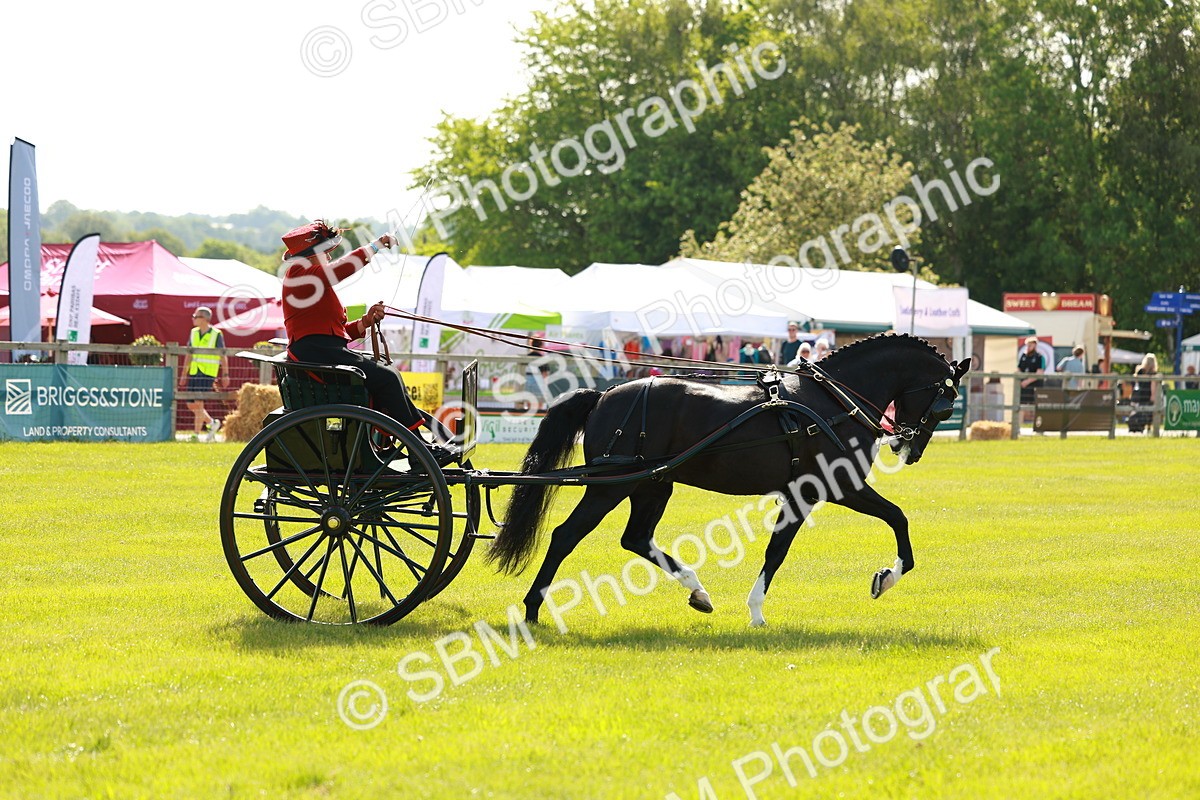 SBM_01218 - Class 2-4 - HOYS Private Driving