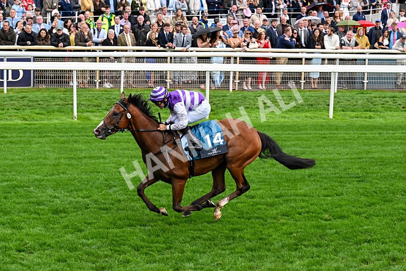 200826-Race 6-Mia Fantasia-0753 - Race 6 16.45pm Mews Hotel Ossett EBF Stallions Nursery Handicap