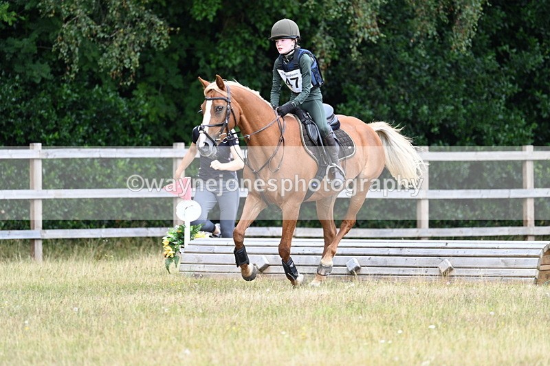WJ7_1695 - 60cm Time 13:20 to 14:27