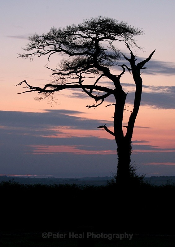 high bickington