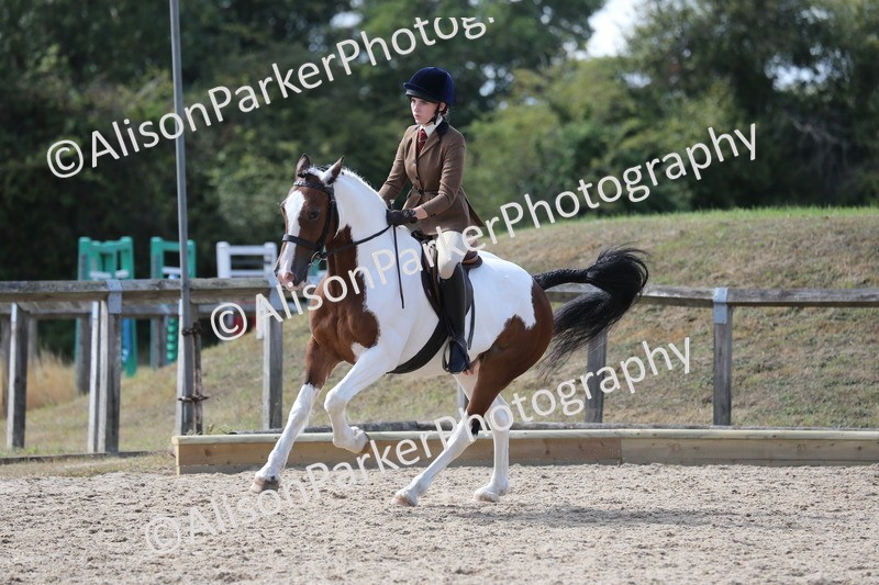 20260831-2794 - Class 16 and 17- Ridden Cob and Hunters