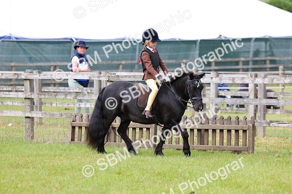 SBM_09445 - Class 44-45 - LIHS BSPS Open Nursery and Cradle Stakes