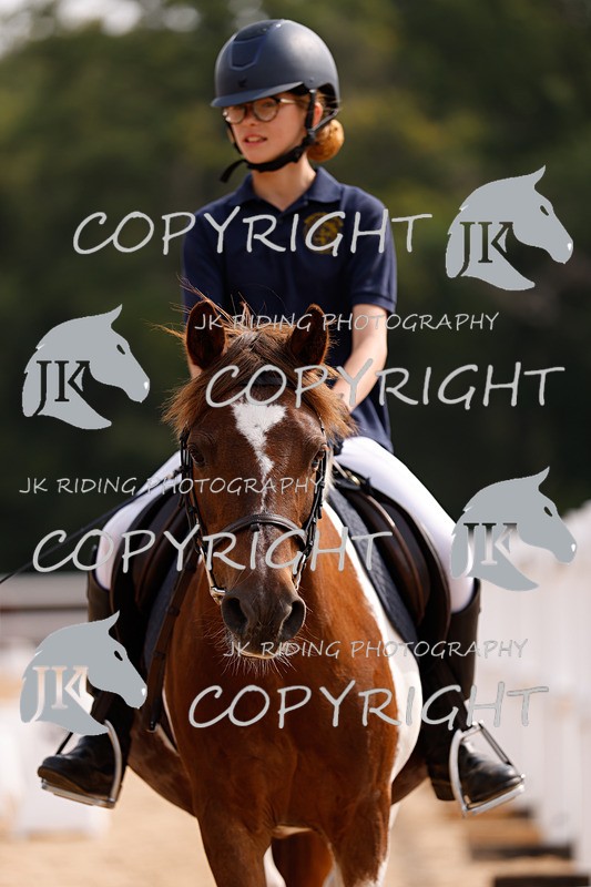 _R6A2298 - Dressage Morning