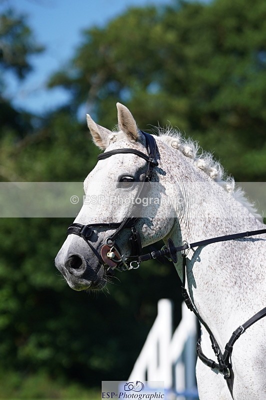 240811A-163940-06376 - 464-