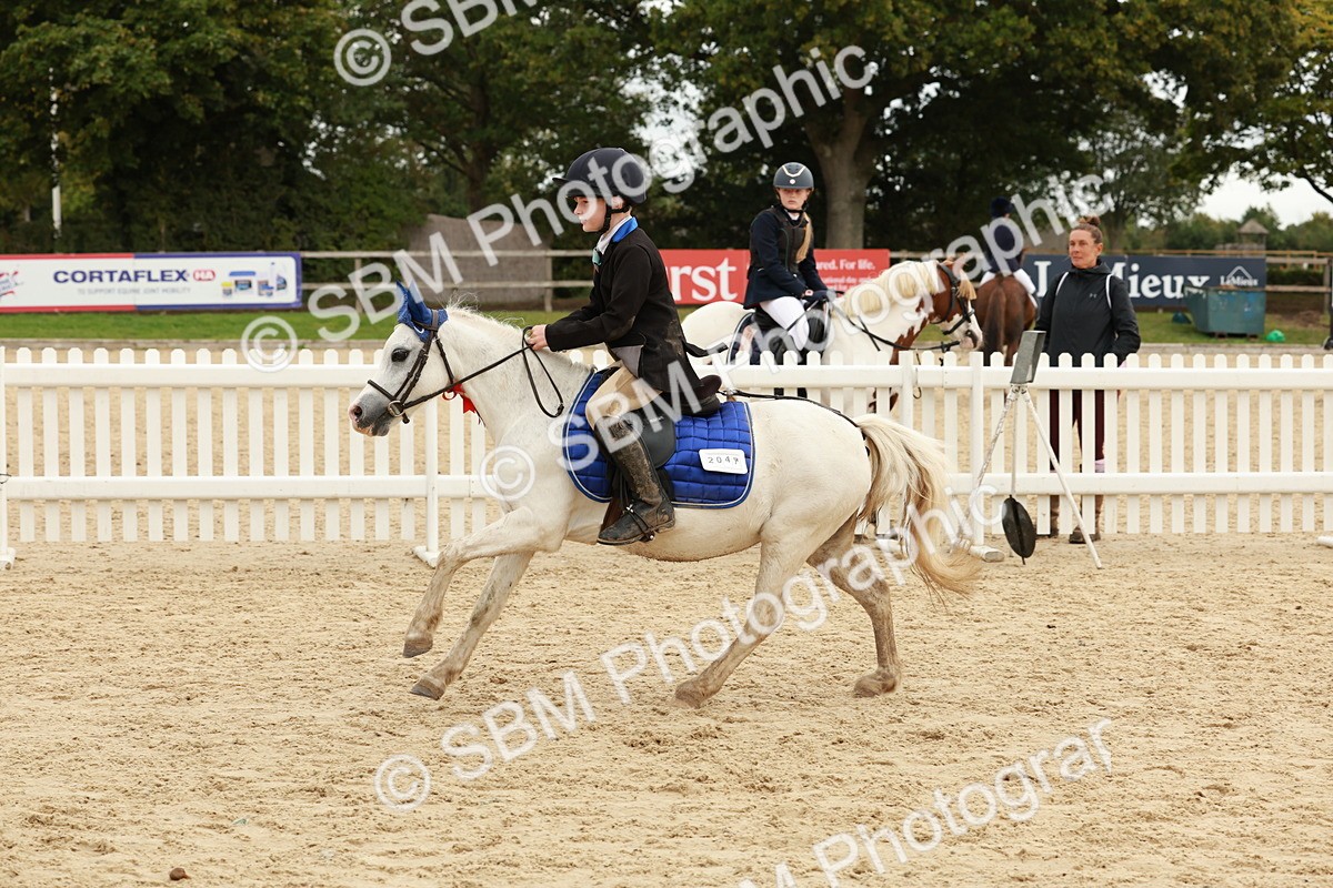 SBM_65376 - Supreme Championship 50cm & 55cm