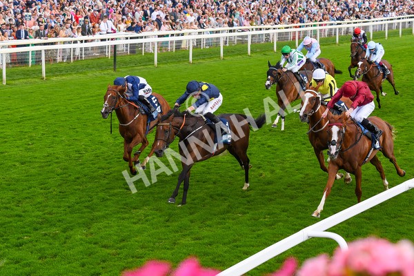 240823-Race 5-Sea Theme-0688 - Race 5 4.10pm British EBF & Sir Henry Cecil Galtres Stakes