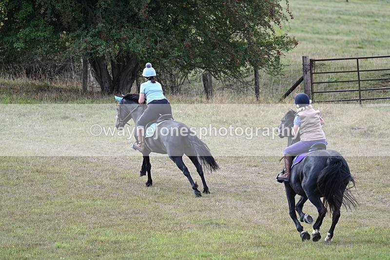 WJ7_4246 - Time 10:54 to 11:16