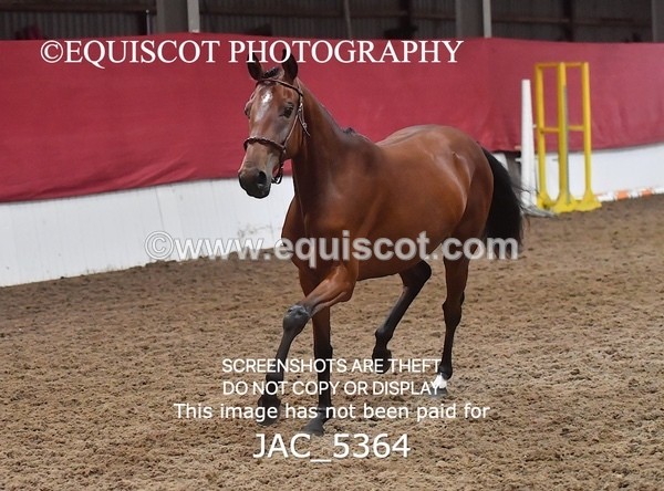 JAC_5364 - 7 L'Espirits Little Unicorn