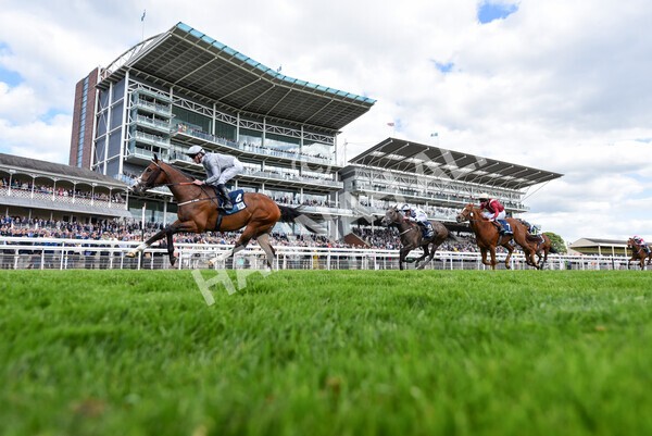 yr12052022r5-28 - Race 5 4.10pm British Stallion Studs EBF Westow Stakes
