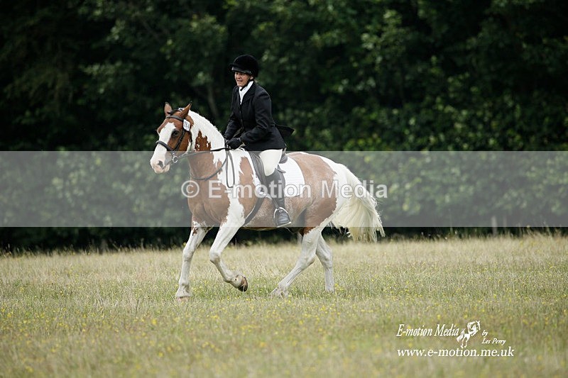 BVRC 030721 86 - Bourne Valley Riding Club Dressage 03/07/21