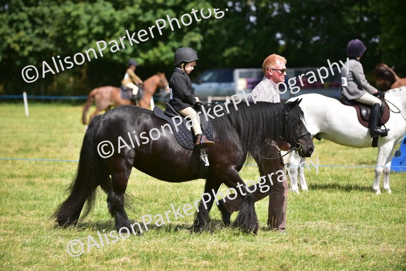 20260614-1156 - Class 11a - Lead Rein Pony (Unplaited)