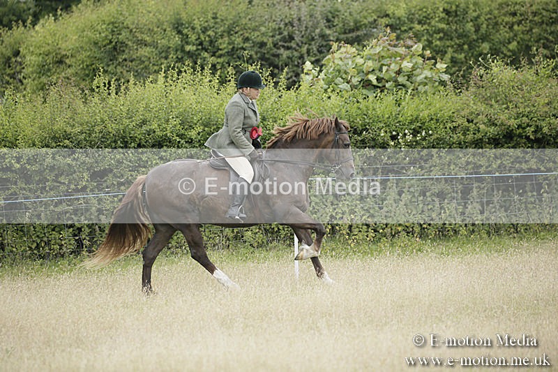 B230619-0981 - Bourne Valley Riding Club Summer Show 23/06/19
