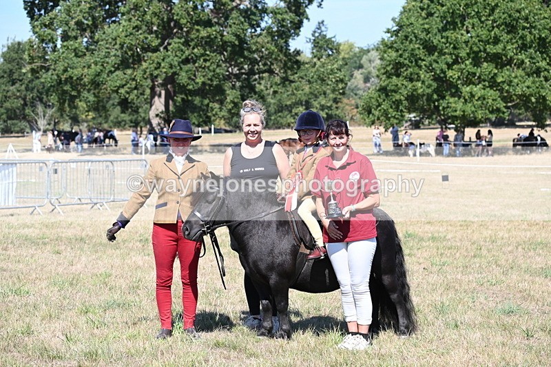 WJ6_8120 - Class 36 Lead Rein