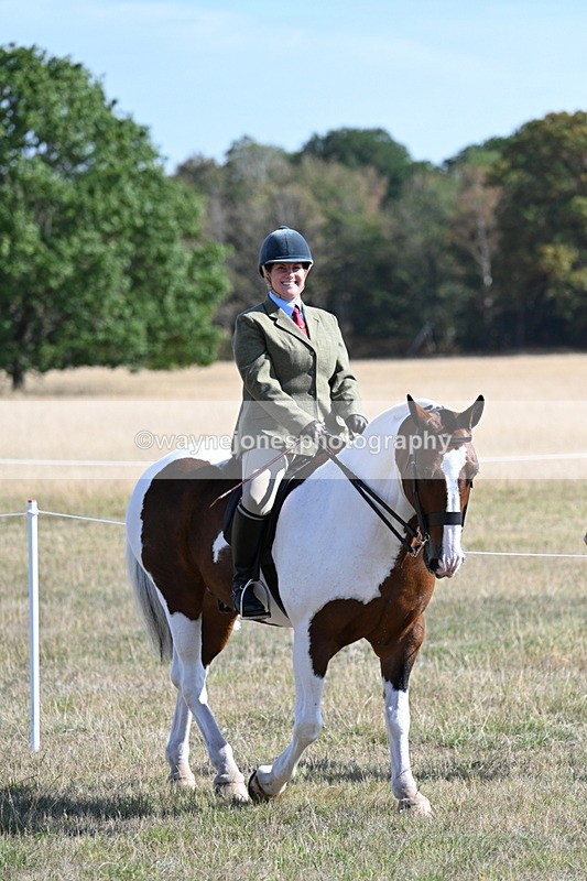 WJ7_3072 - Class 8 Ridden Tack & Turnout