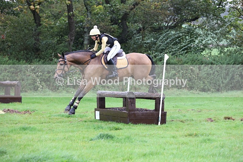 JPP_5441 - Class 4: 80cm: Crossed Logs