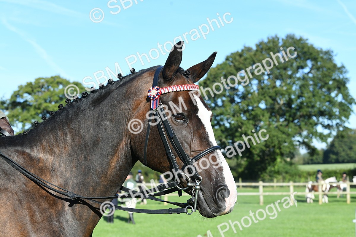 SBM_34051 - S16 - Condition & Turnout - Ridden