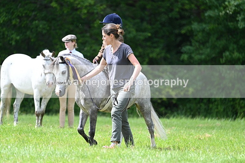 WJ7_1604 - Class 11 Condition & Turnout
