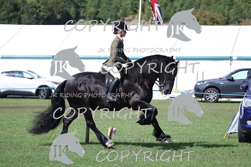 APP_3518 - Class 12 M&M ridden