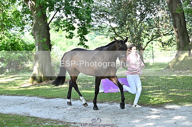 250521A-154725-00761 - B-366-Ginny.Howe-CHF.CAPTAIN.JACOB