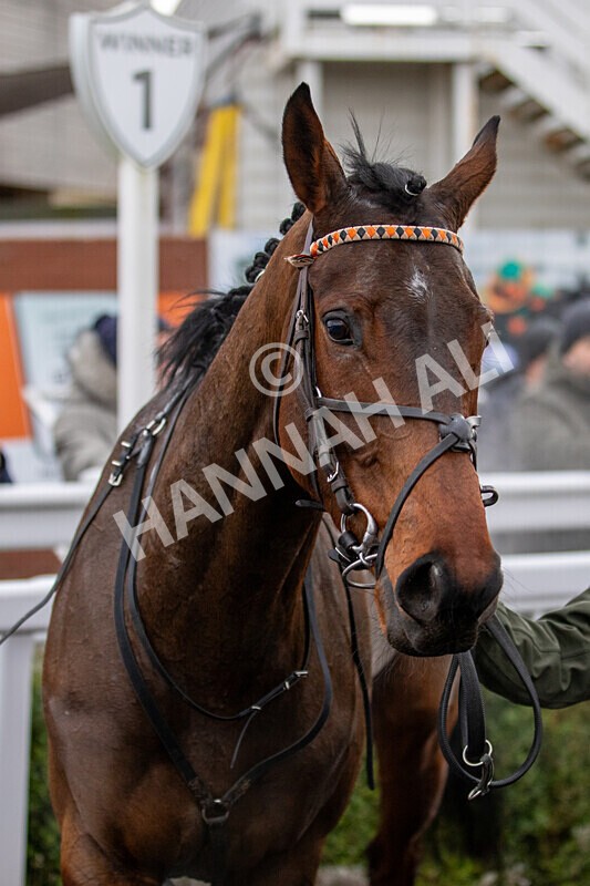 171224-Race 2-Bust A Move-0060 - Race 2