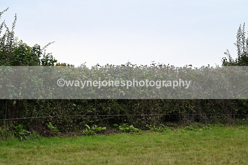 WJ7_4007 - Camera 1 Line 2