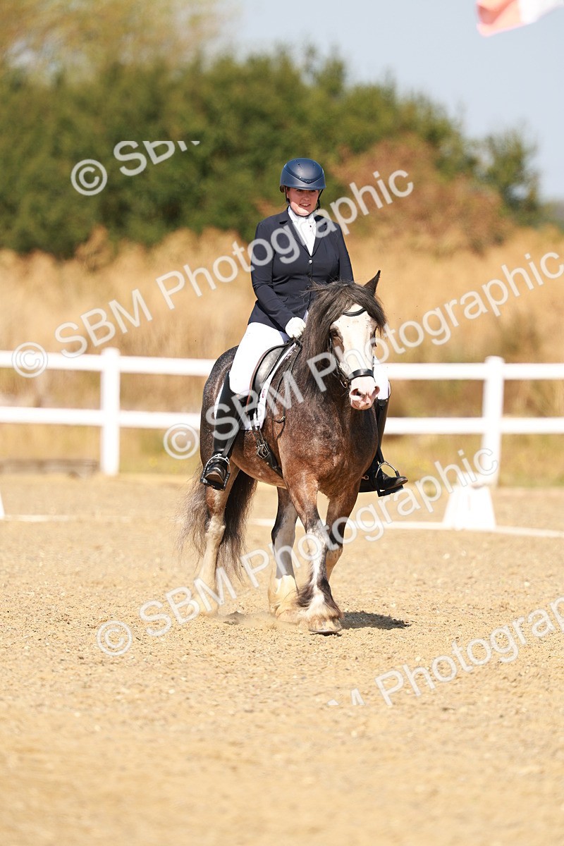 SBM_017807 - Class 9 - N5 Bronze 10.33.11.36