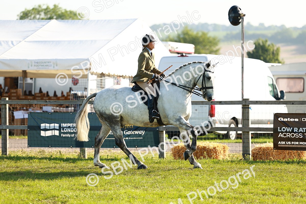 SBM_10739 - Class 66-69 - RIHS Ridden Hunters Inc Small Hunter