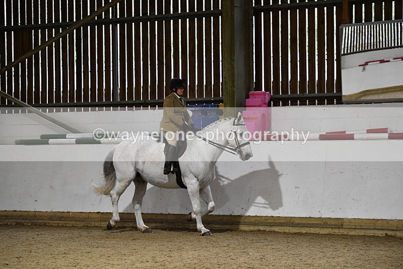 WJ5_8767 - Class 15 Ridden Show Horse