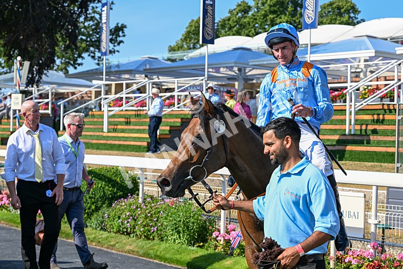 100726-Race 6-Ziggys Triton-0790 - Race 6 17.05pm William Hill Keep Your Raceday Positive Handicap