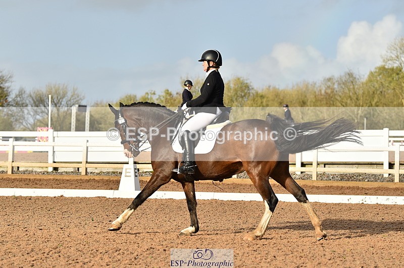 231104A-140024-01988 - Cls 10 Medium 61