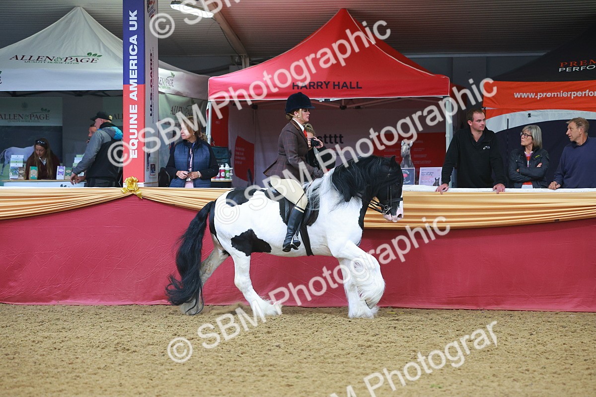 SBM_09646 - Class 102 - HOYS Veteran Qualifier - Ridden Veteran