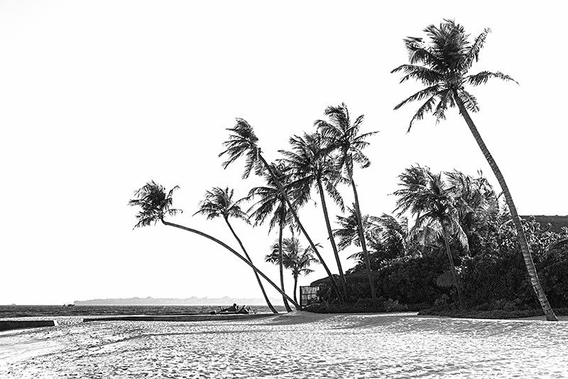  - Black & White
