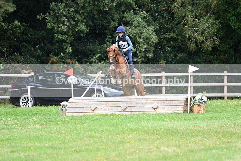 WJ7_9017 - 60cm Time 12:51 to 13:18
