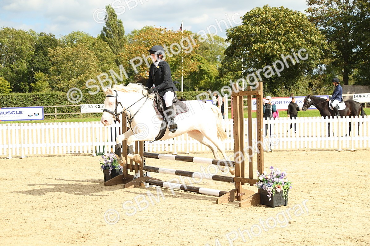 SBM_46530 - J7 - Junior Pony 60cm Championship