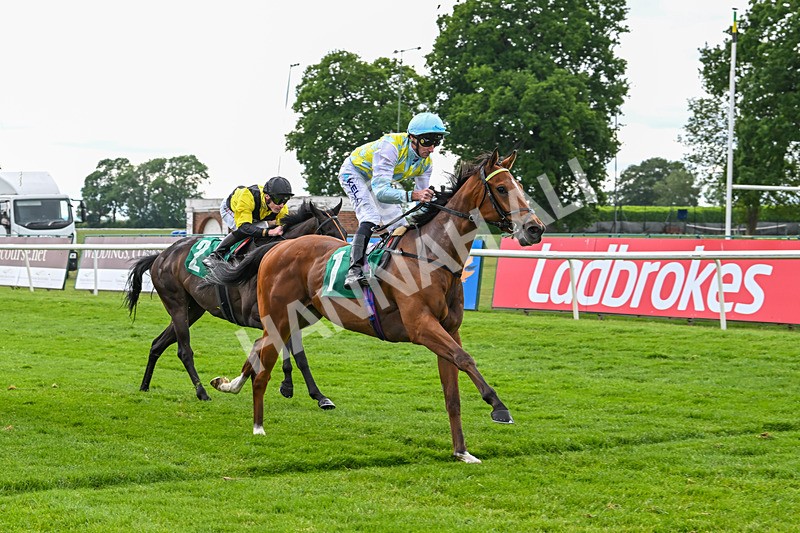 170625-Race 3-Blue Anthem-4990 - Race 3