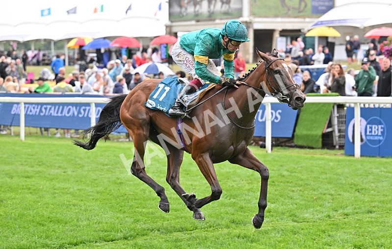 200826-136 Prizeland - Race 5 16.10pm British EBF & Sir Henry Cecil Galtres Stakes
