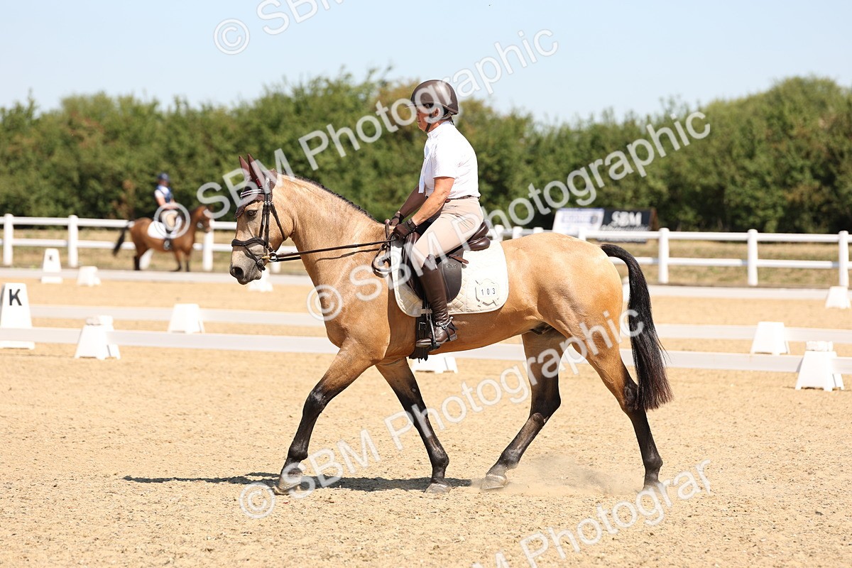 SBM_001219 - Intro 2