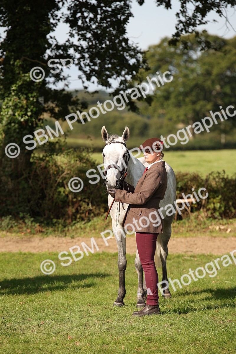 SBM_60130 - S53 - Hunter In Hand