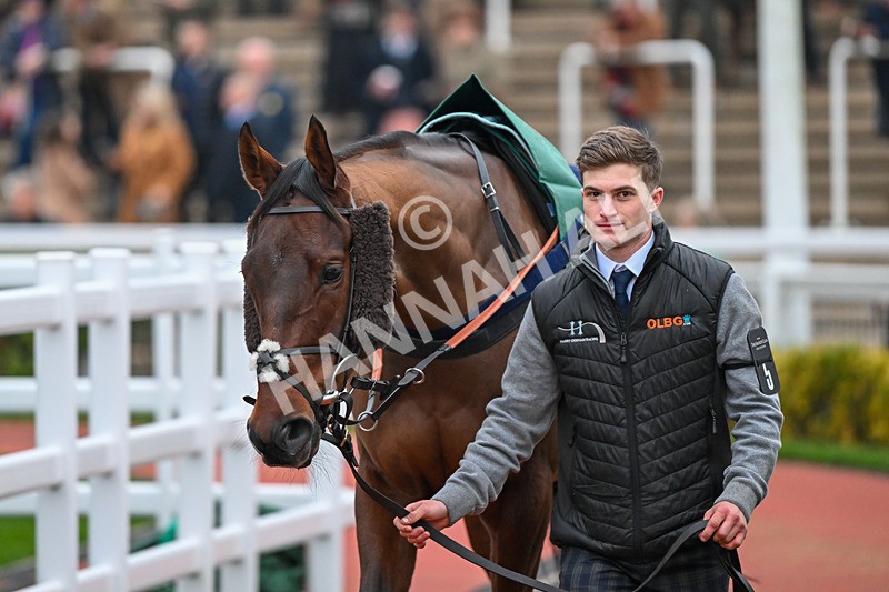 151124-Race 6-Paddock-Balhambar-8492 - Race 6