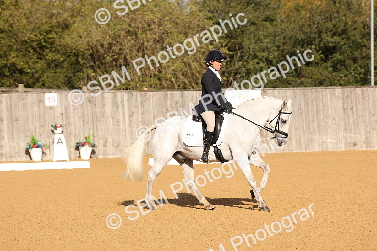 SBM_16053 - D10 - Small Tour Championship Prelim 2