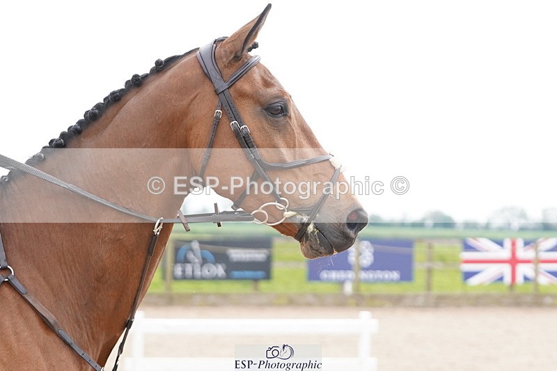 250419-164758-13930 - 866-Gracie.Williams-DONAIL.BELL.VIVANT