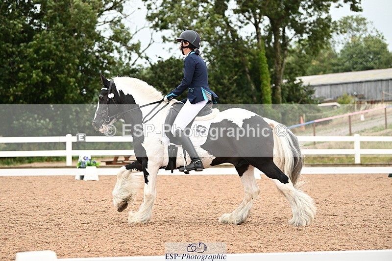 240815A-143056-02063 - 276-Alys.Matravers-Tiger.Tim