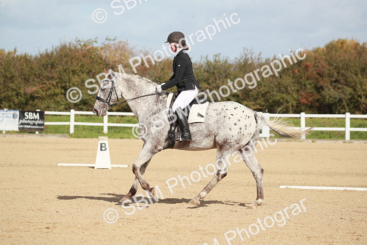 SBM_001706 - Class 4 - Novice 5